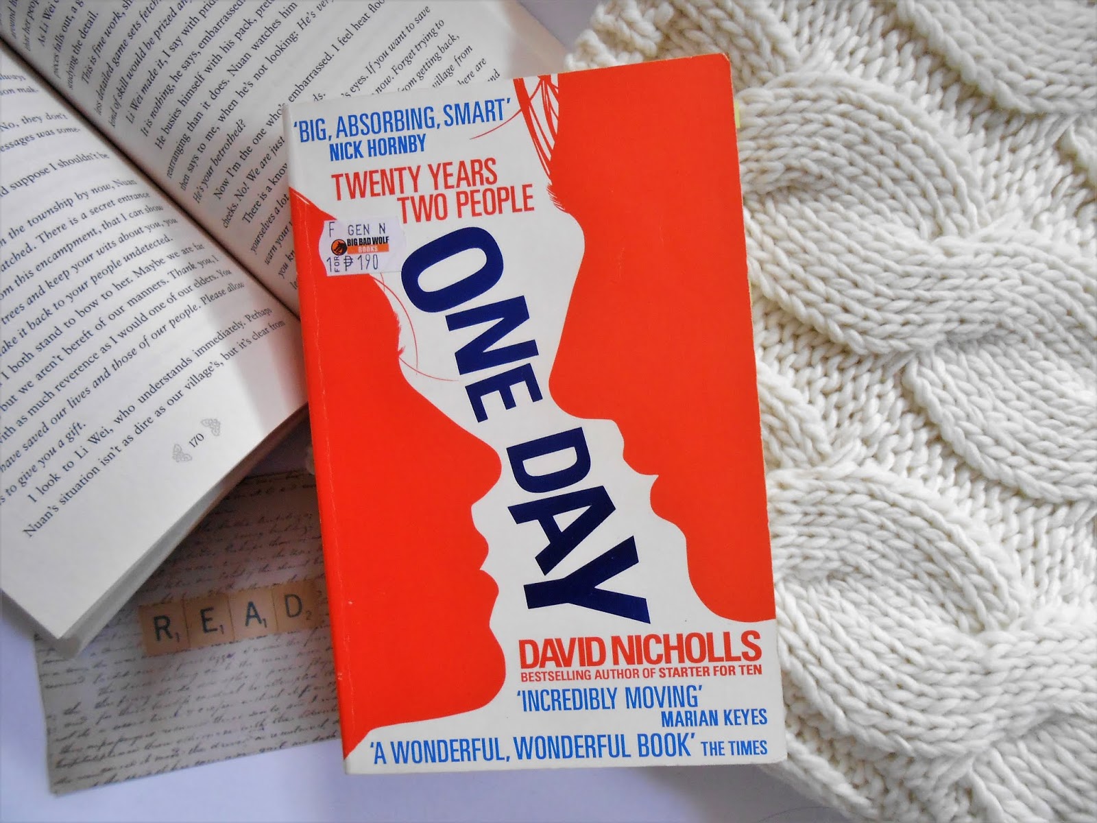 one day david nicholls book review