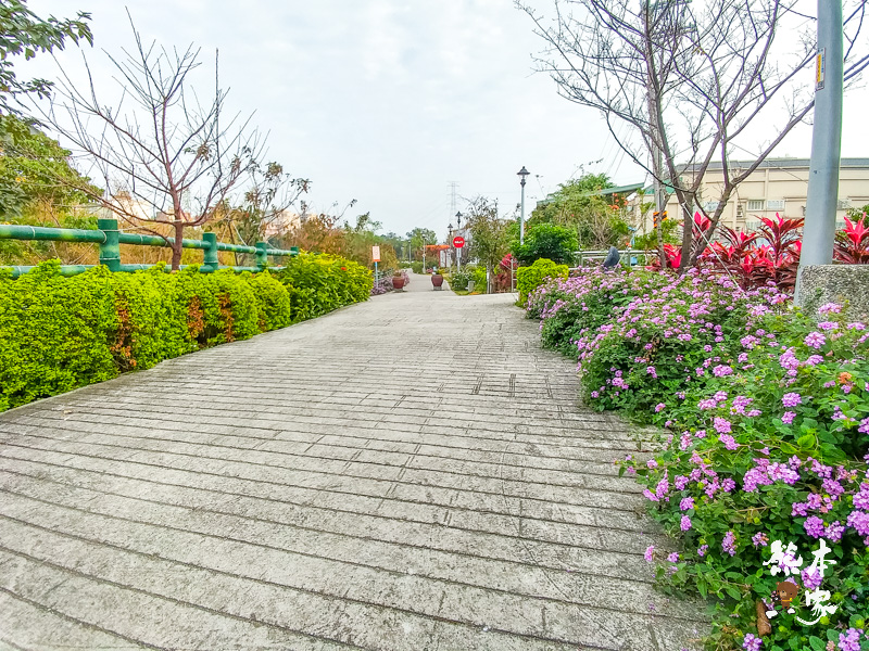 鶯歌永吉公園IG網美景點|炮仗花、櫻花齊登場還有3D立體彩繪步道