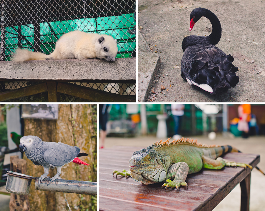 Фарбуємо будні: Таїланд. Море і сонце.