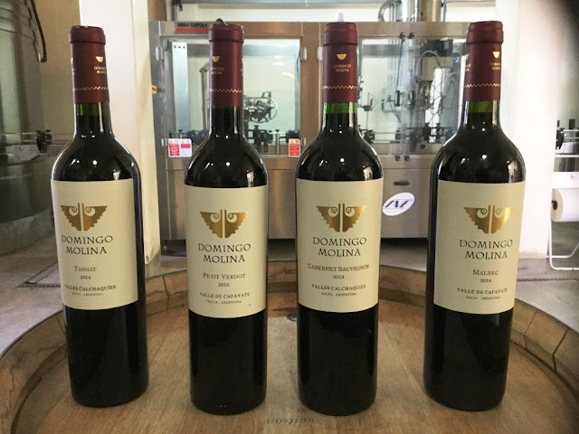 Bodega Domingo Molina