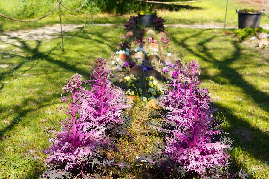 Parque Quinta de Torre Arias