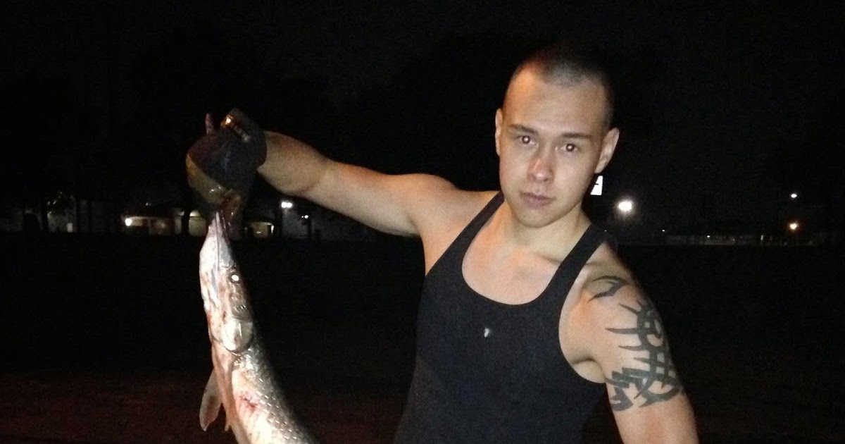 2 Chambered Heart Fish : evolution - How did the cardiovascular system