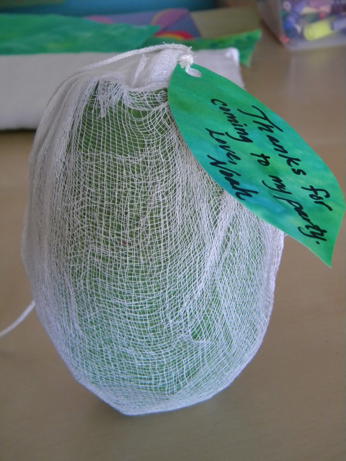 The Pretty Kitty Studio DIY Cocoon Party Favors for The Very Hungry