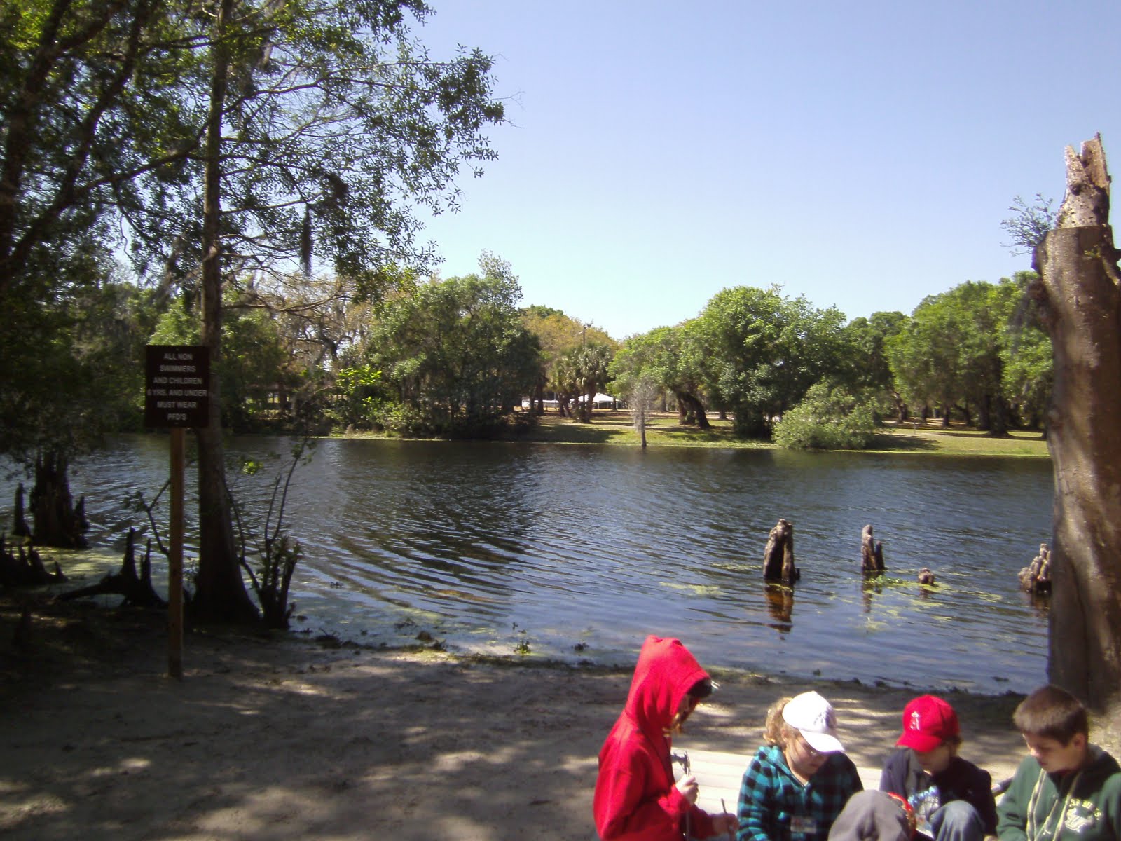 Grandma Sunday Letters to My Grandchildren School Field Trip