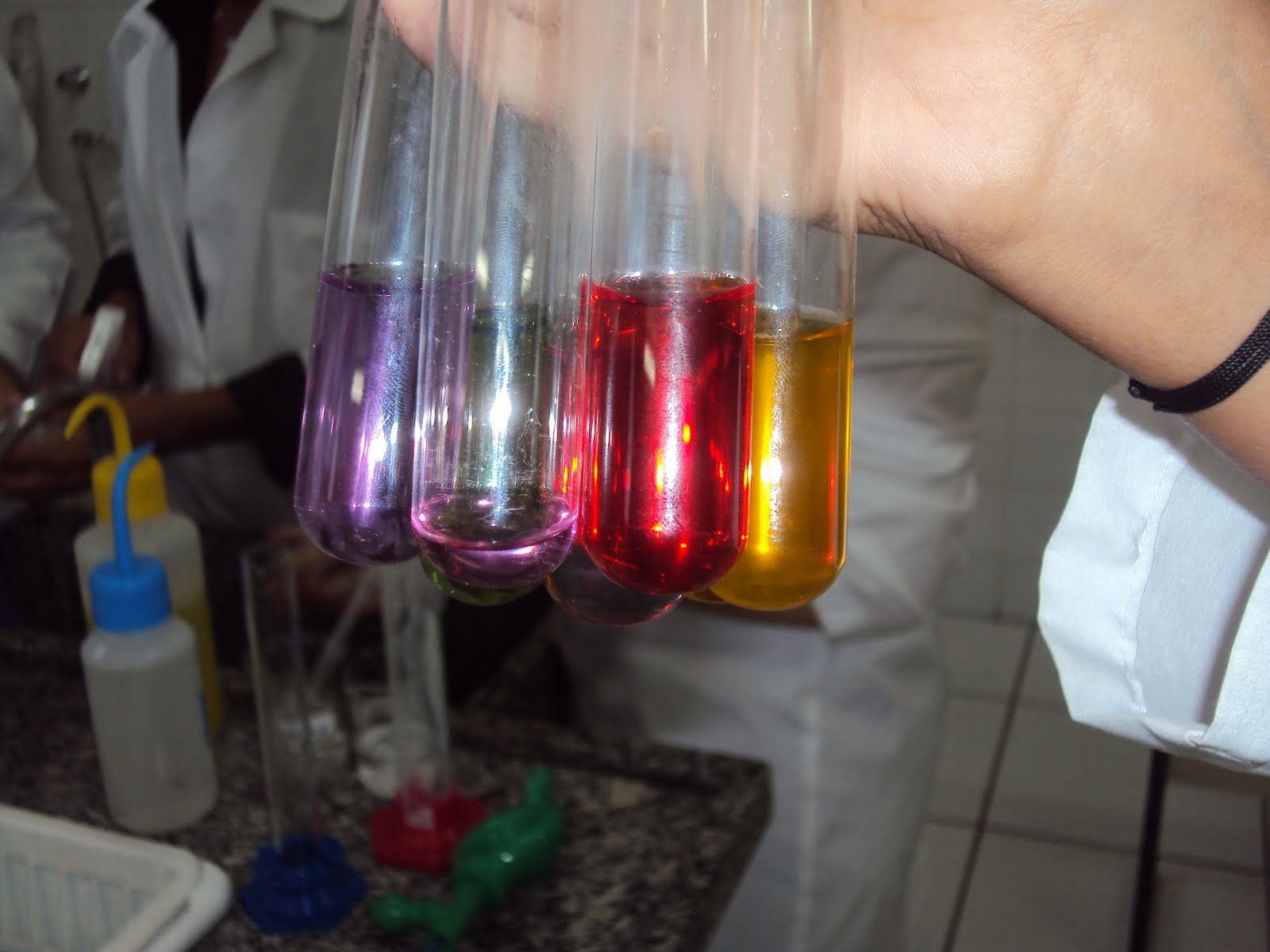 Experimento Do Repolho Roxo - BRAINCP