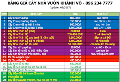 Cung cấp sỉ cây nho thân gỗ cam kết uy tín, chất lượng - 4