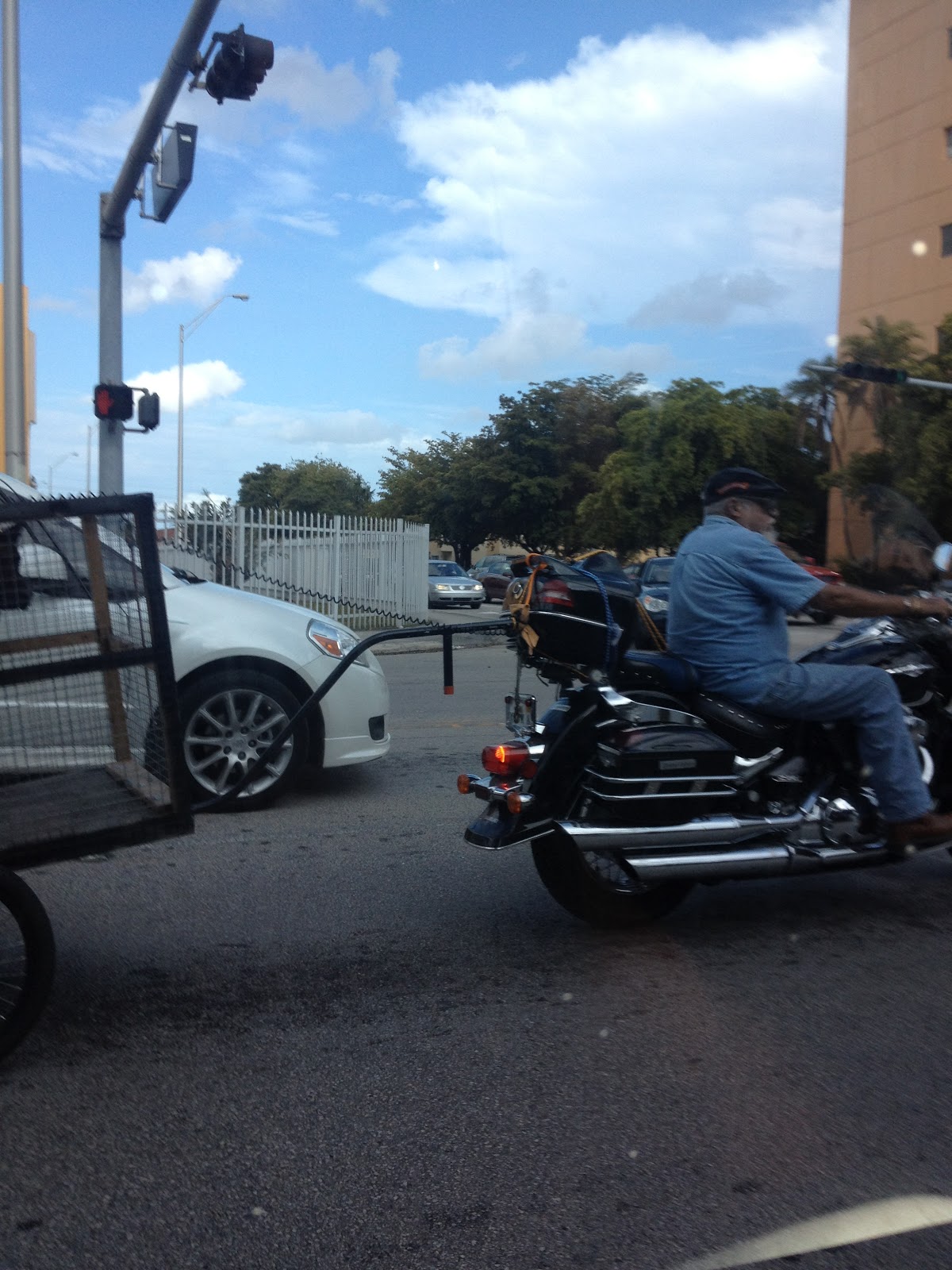 Sweet Home Hialeah Traveling with Pets in Hialeah