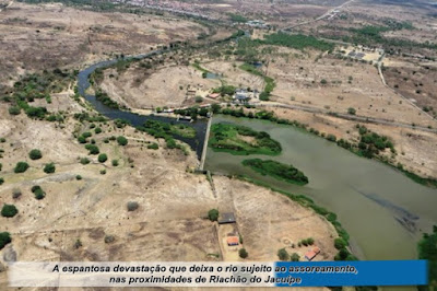 Imagens de destruição da caatinga foram feitas durante voo de helicóptero