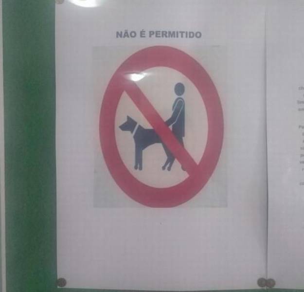 10 imagens que vão alegrar o teu dia 10 imagens que vão alegrar o teu dia