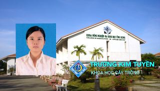 Trương Kim Tuyền