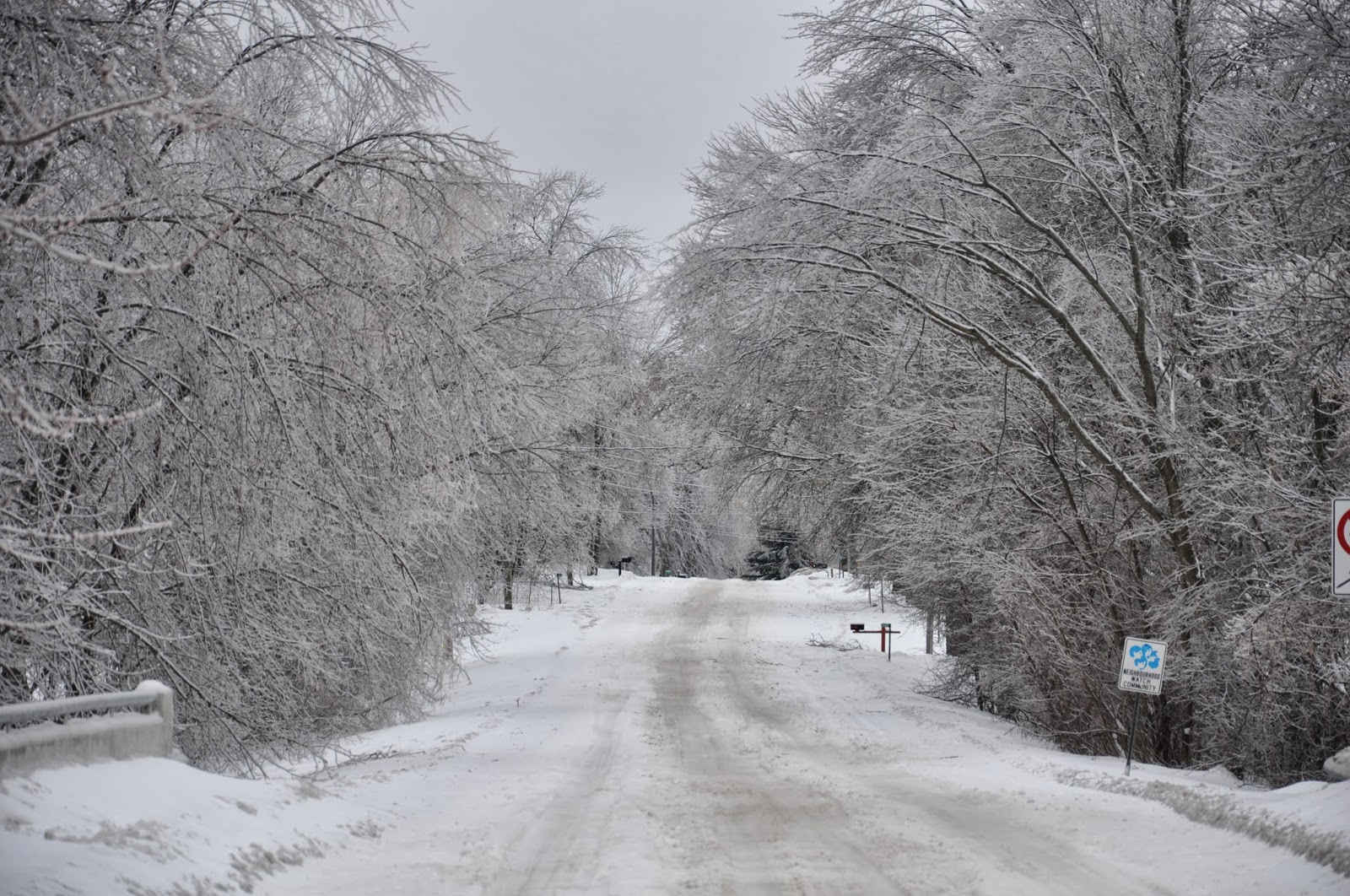 Pat's Tracks Kingston, Ontario Ice Storm December 2013 Over 40 hrs