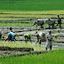 farmers day wishes in tamil