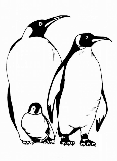 Gambar Mewarnai Pinguin - 10 Gambar Mewarnai Pinguin - 10