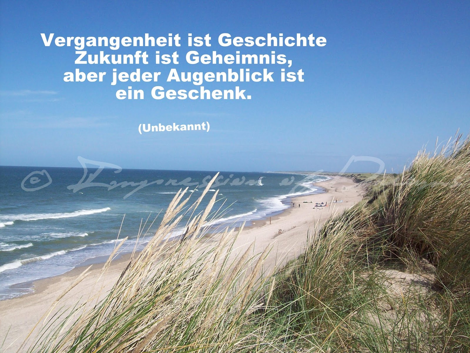 Lucciola: Spruch des Tages - 19.02.15