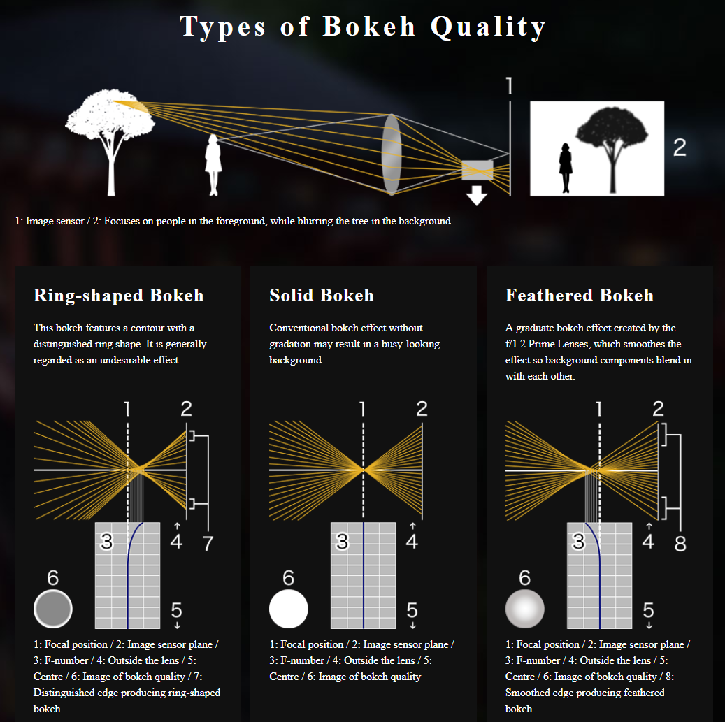ROBIN WONG About That Olympus Feathered Bokeh