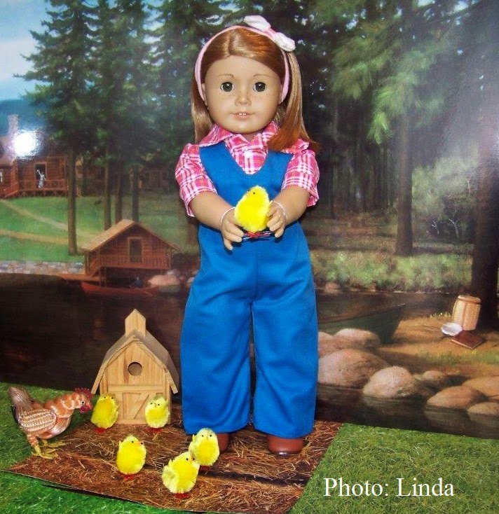 Living A Doll's Life DIY Kit's Chicken Keeping Set