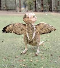 Foto Unik Aneh Gokil dan Keterlaluan - Gambar Foto Wallpaper