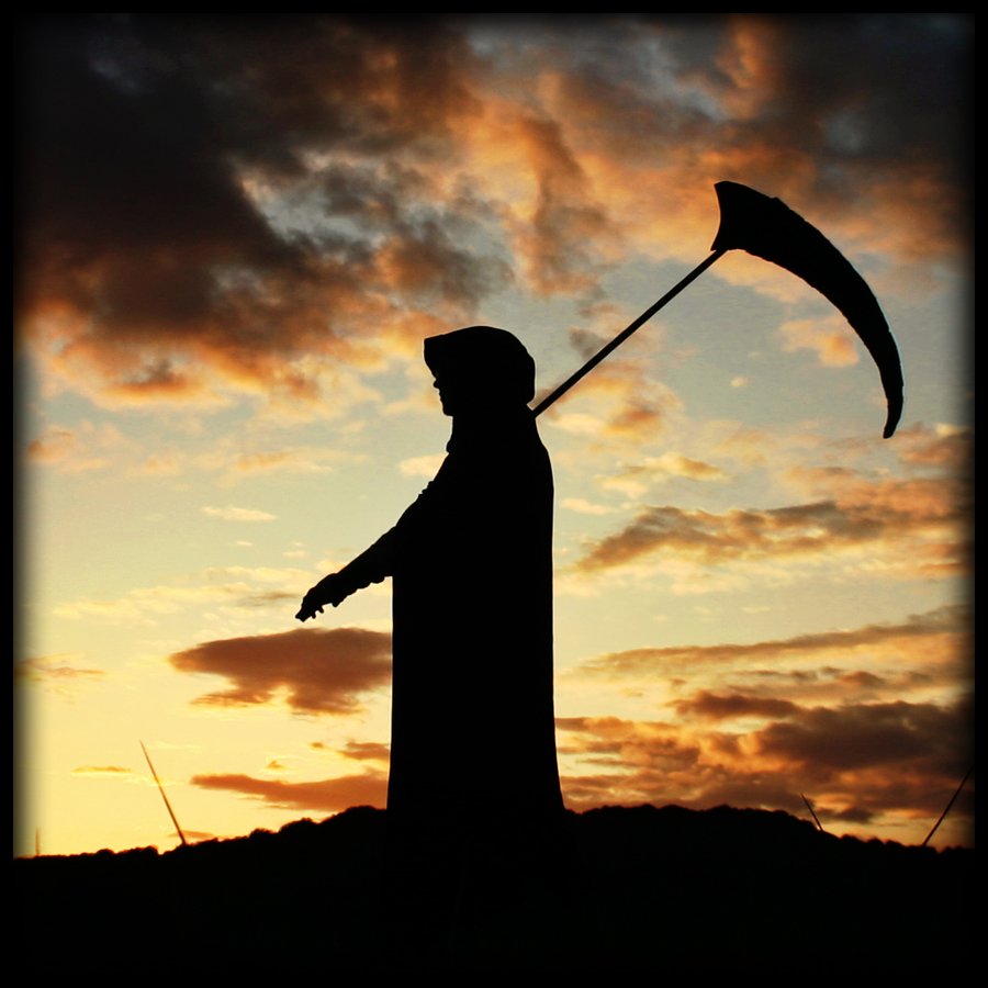 Elizabeth Rose Psychic and Tarot: Don't Fear the Reaper: Fall 2012 ...