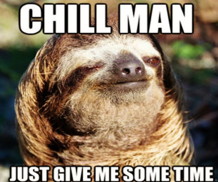 sloth-meme.jpg