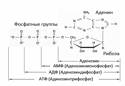 Атф декстрон 2 артикул