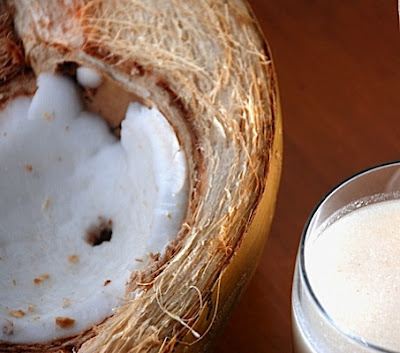 Coconut Milk in the Thermomix