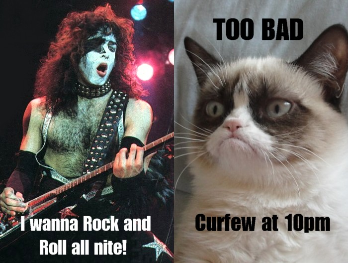 Grumpy Cat - The Rock'n'Roll years: Grumpy cat meets Kiss
