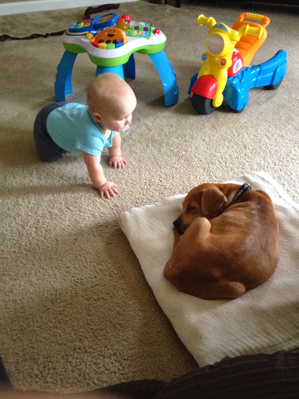 Lauren and John's Updates! 9 Months Old