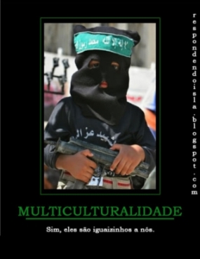 Multiculturalidade