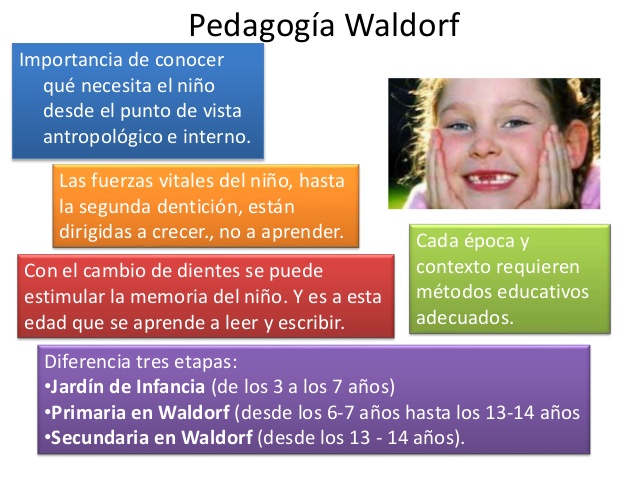 La waldorf pedagogia de caracteristicas
