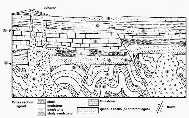 Stratigraphic Cross Section Interpretation Exercise