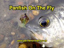 Check Out Panfish On The Fly