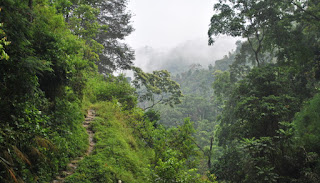 Air Terjun Kali Pancur semarang Curug Kali Pancur Semarang