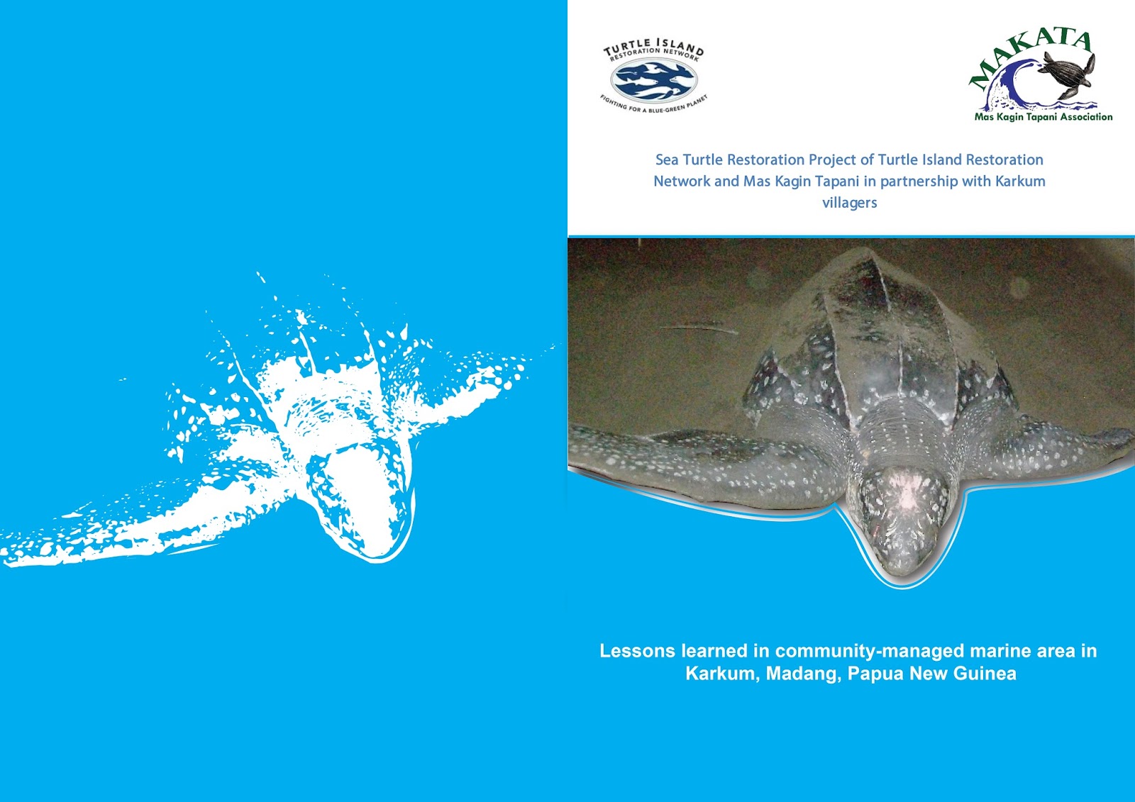 sea turtle restoration project If construction occurs during nesting season, sea turtle and shorebird nesting areas are to mitigate potential impacts from beach restoration projects, pinellas. sea turtle restoration project If construction occurs during nesting season, sea turtle and shorebird nesting areas are to mitigate potential impacts from beach restoration projects, pinellas.