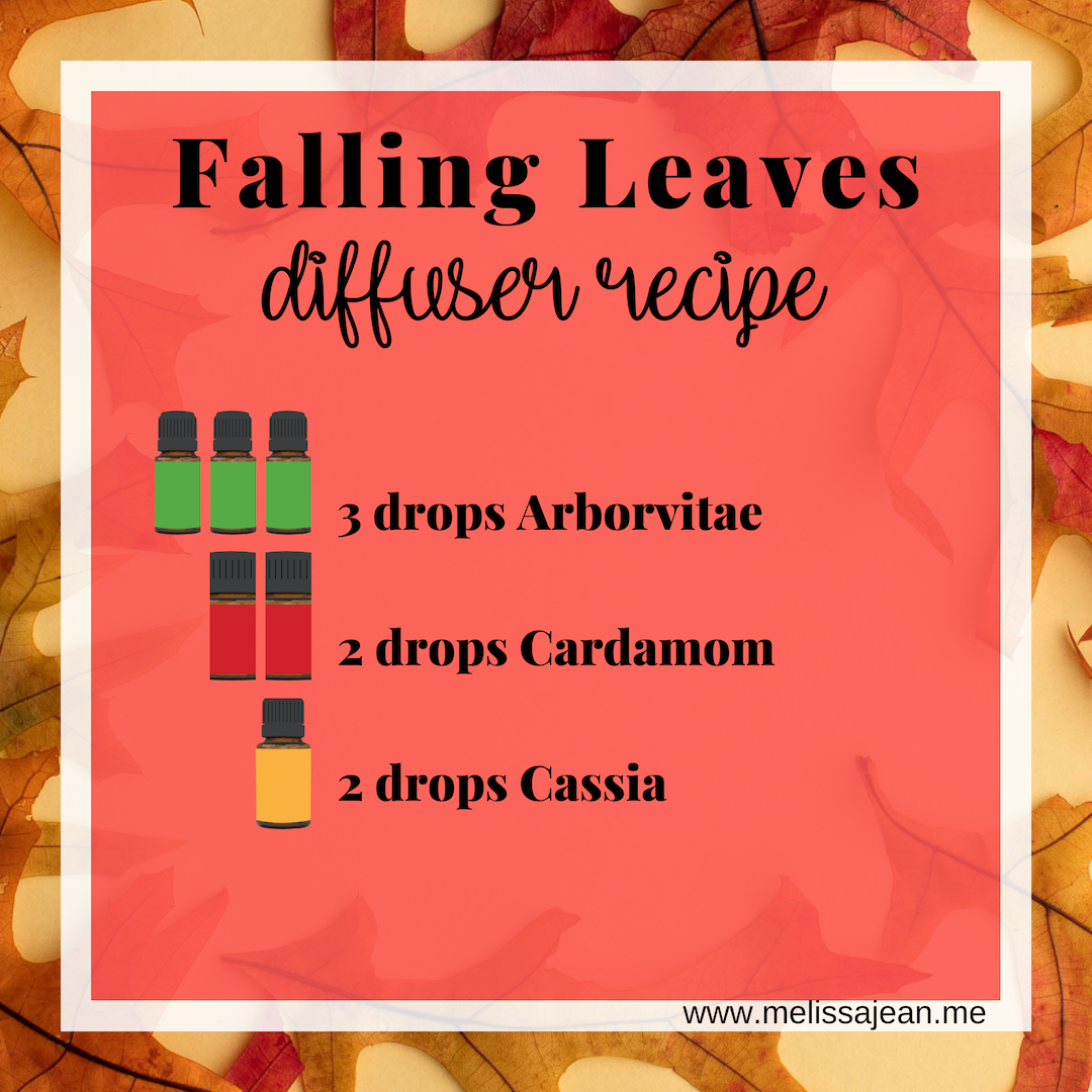 Falling Leaves Diffuser Recipe The Daily Diffuser Blend