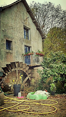 wwoof workaway