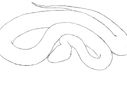 snake draw drawing simple head shape previously guideline erase drew