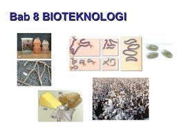 √ Jawaban PG Uji Kompetensi Halaman 119 Bab 8 IPA Kelas 9 (Bioteknologi