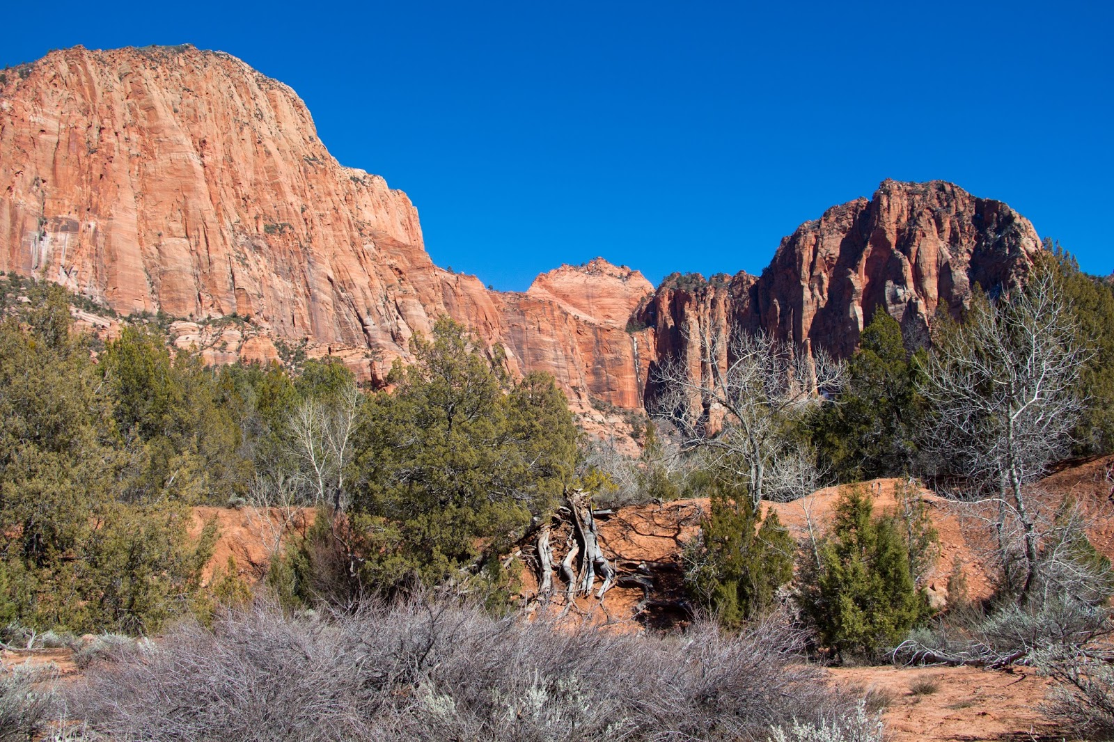 Hiking Shenandoah Kolob Arch