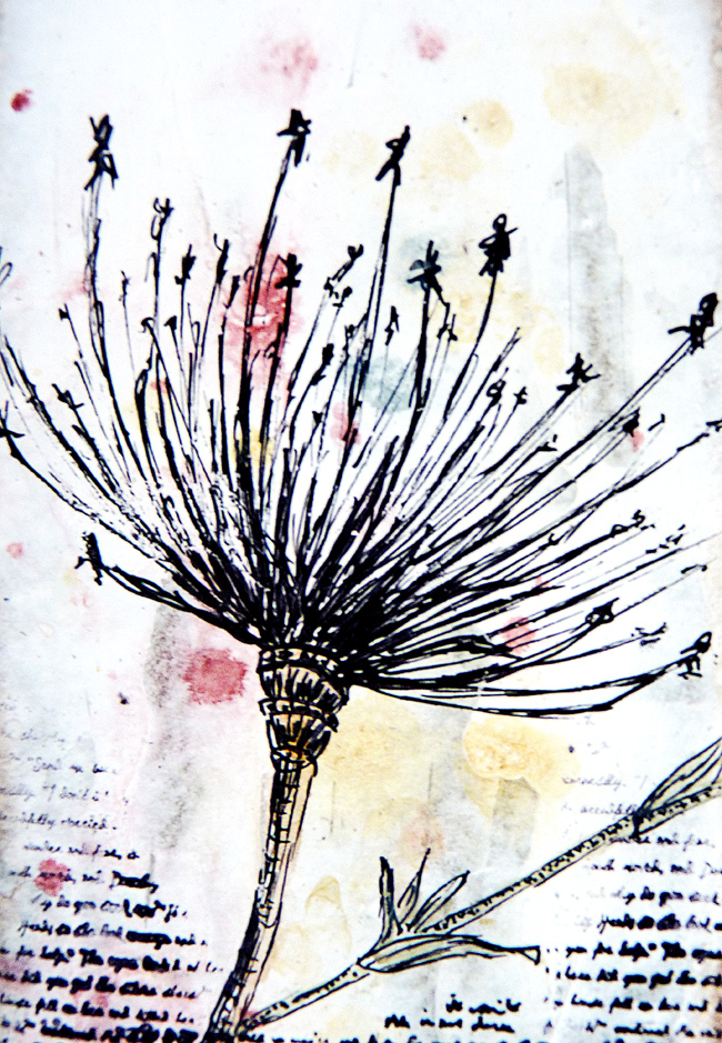 Bumblebees and Butterflies Pen and ink over gesso