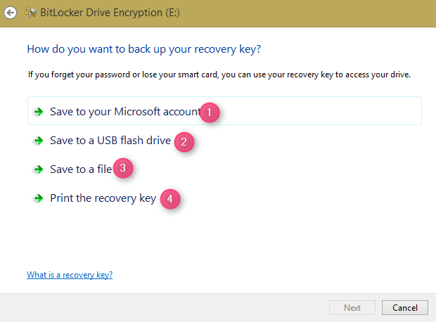 BitLocker Encryption BitLocker Encryption