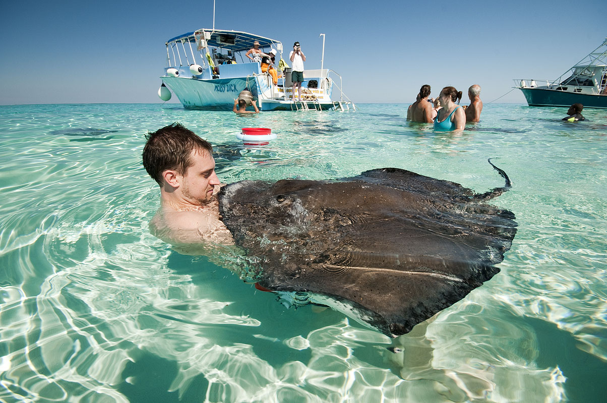 grand cayman stingray excursion