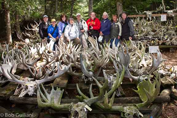Keweenaw Now Botany Photo Workshops On Isle Royale Still Have