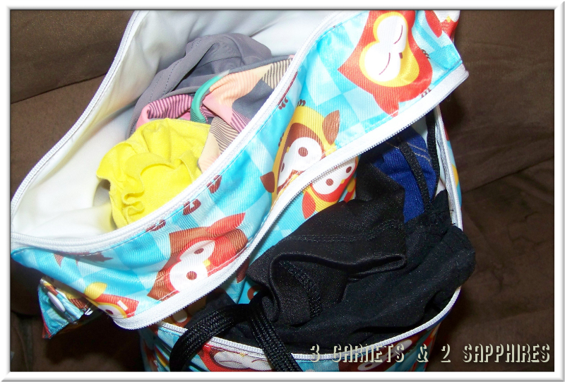 3 & 2 Sapphires Living Green With Jerinda Bumkins Reusable