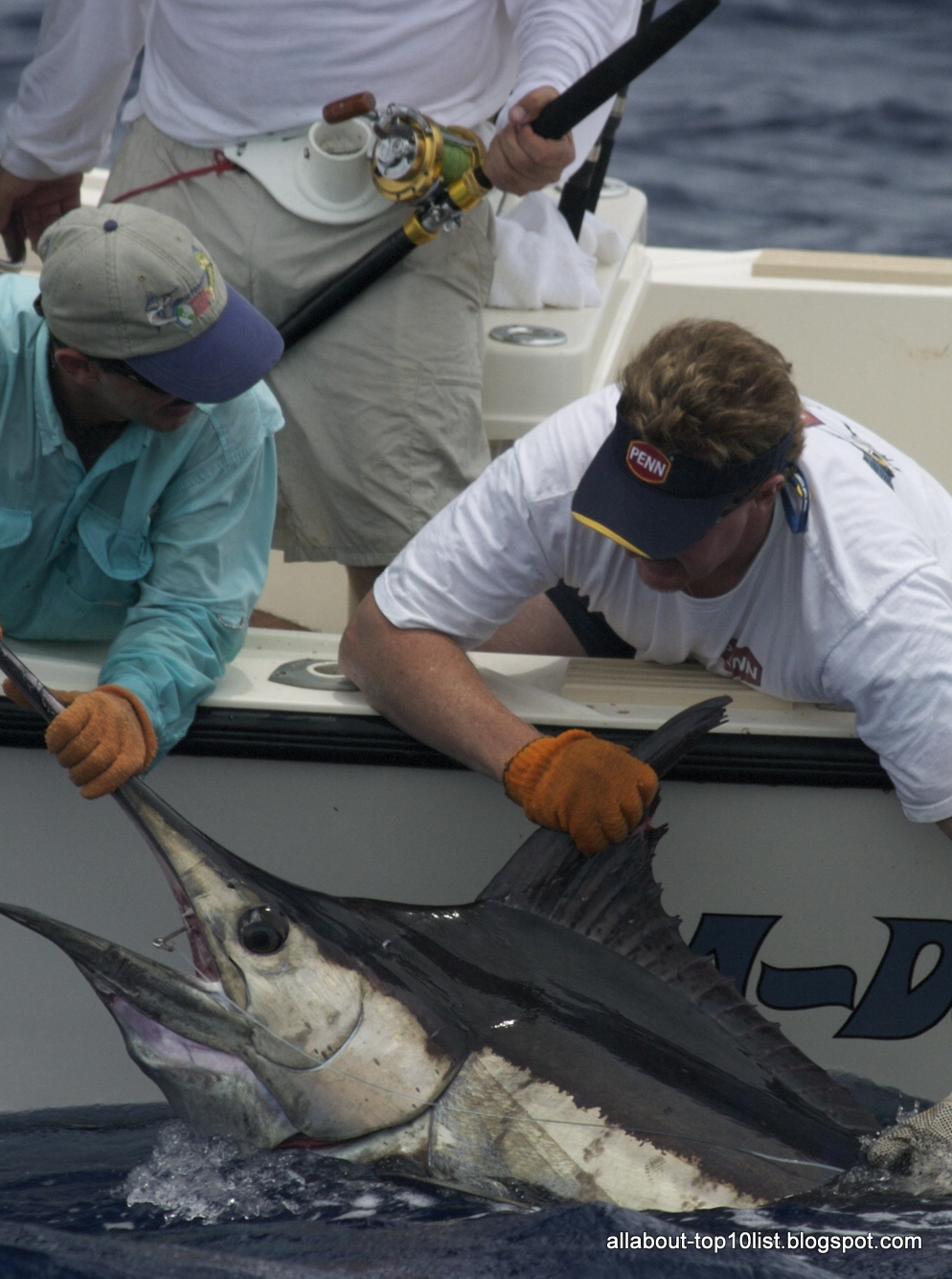 The amazing world of top10: Marlin Fishing, Bahamas