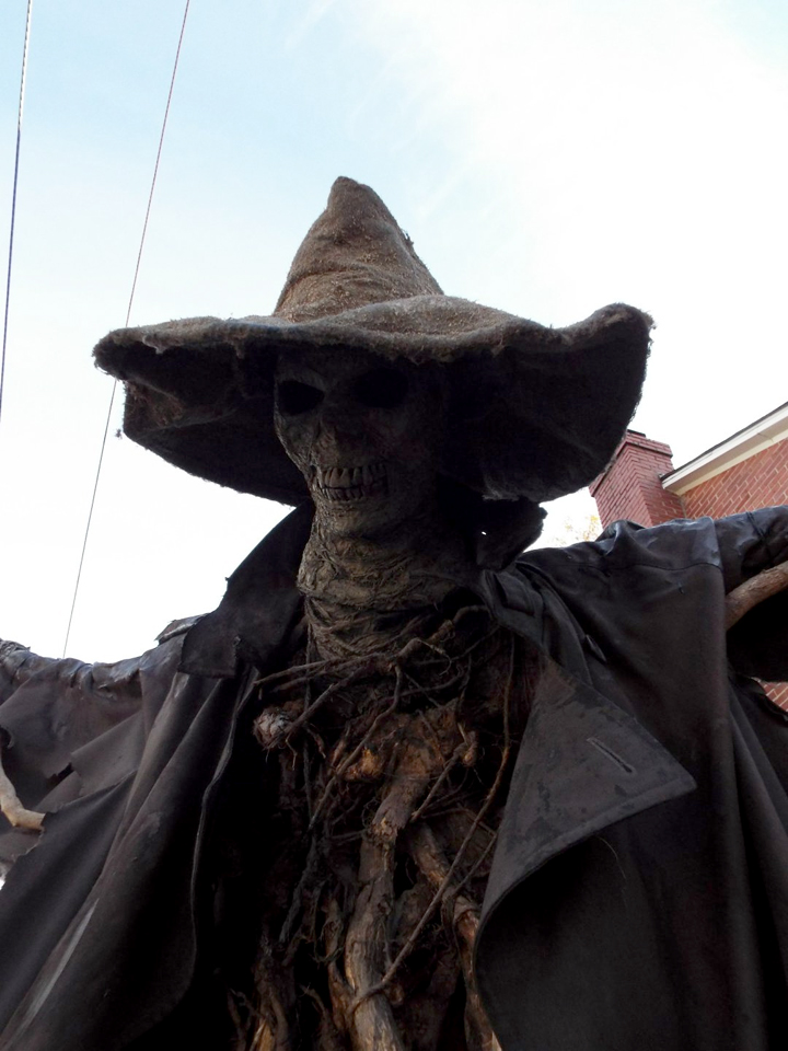 The Blog Johnny Appleseed's Return