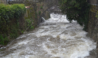 rio jerte en el valle del jerte