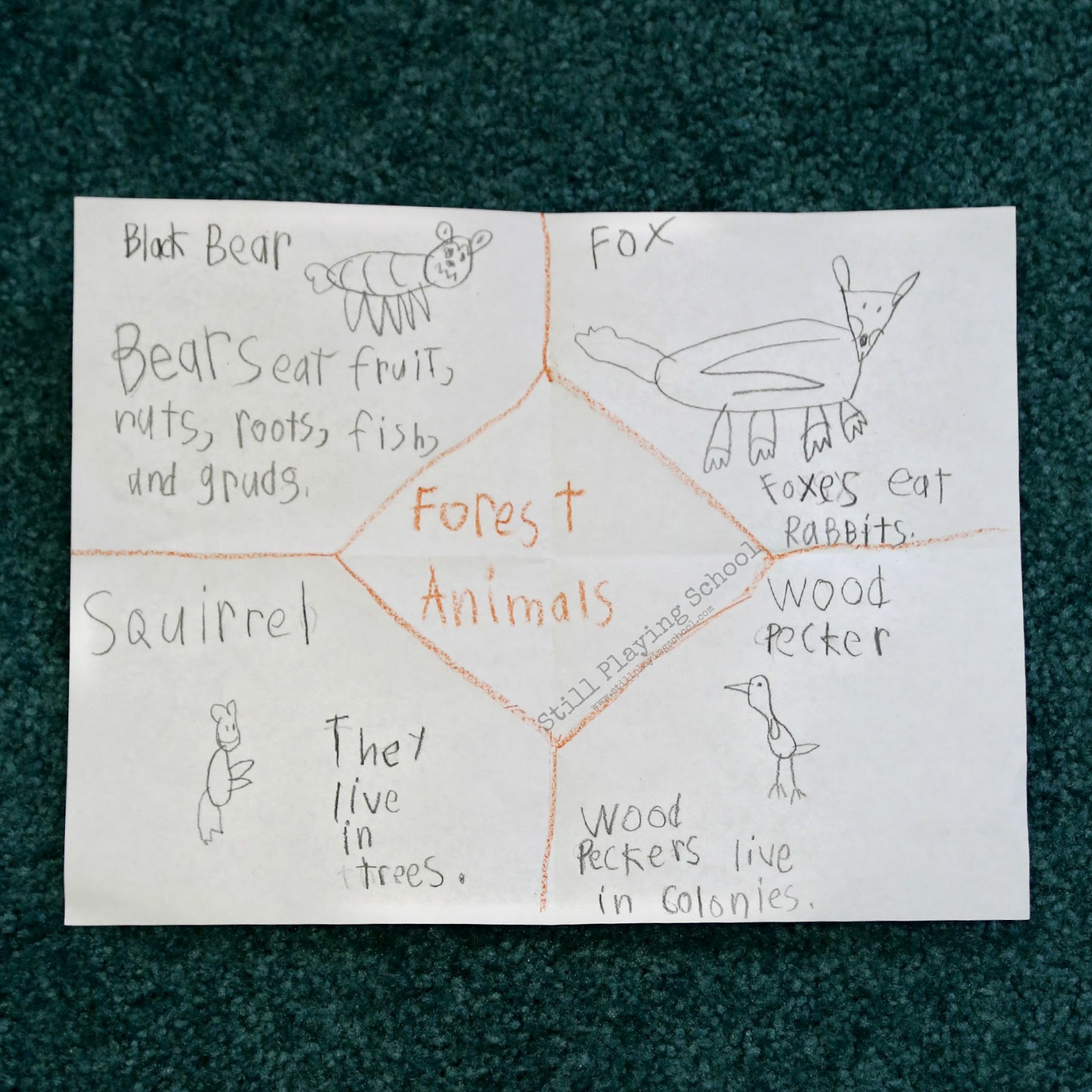 Forest Animals Foldable Graphic Organizer