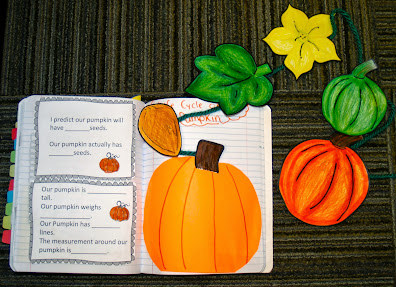 Pumpkin Activities Third Grade