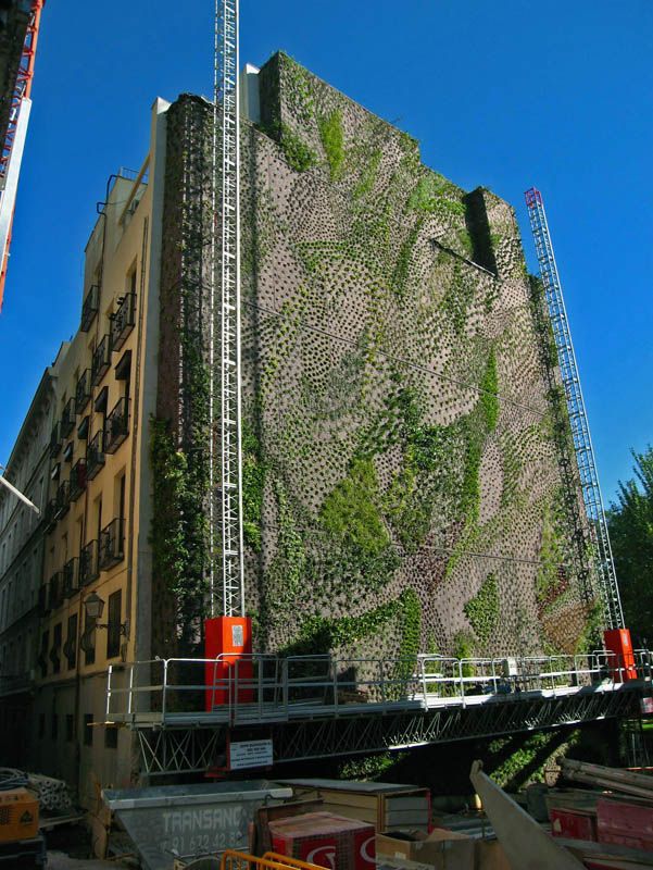 Vertical garden design concept picture