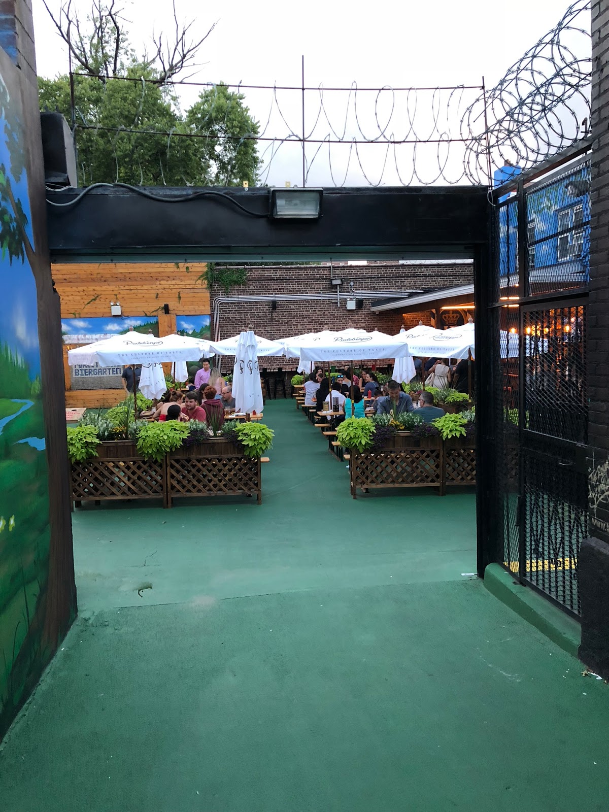 Edge Of The City Forest Hills Beer Garden In Depth Review